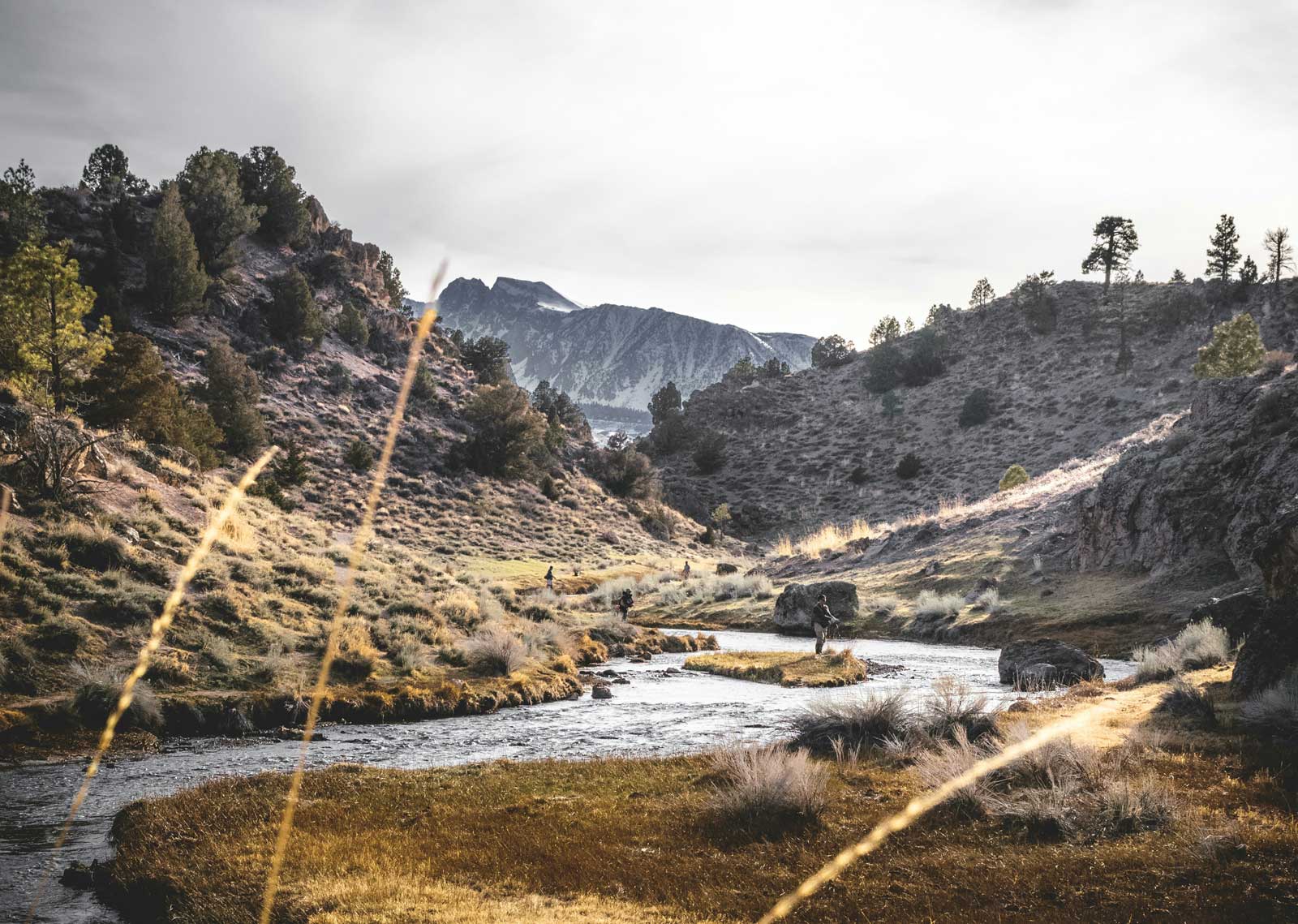 Fly of the Month: The GUN